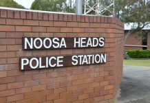 Driver escapes after ramming police car