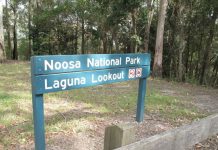 Setbacks for staff mean foxes have a field day