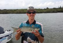 Fish are firing in the warmer weather