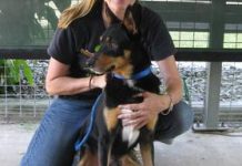 Think about pet presents