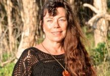 Cash locked up for koalas