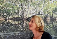 Arts eye on landscape