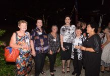 Labor’s Denham runs for council