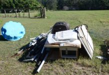 Collection may be curbed