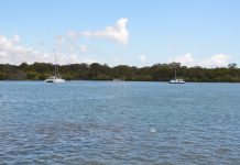 Tigers beat the thieves