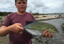 Wind keeps boats close to home
