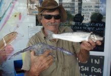 Whiting are biting at Dog Beach