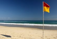 Good sports highly commended