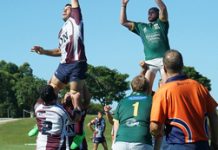 Smart moves by Dolphins