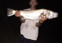 Happy days for offshore anglers