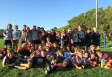 Numbers swell for Dolphins