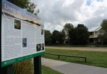 Buffer to tackle flying fox menace