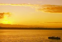 Shutter bugs go with the flow