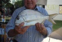 Cooler weather brings on reef species