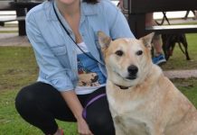 Scores of paws against animal cruelty