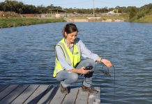 Tip watch a Queensland first