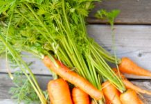 Fresh from the vegetable garden