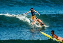 Harry stole the show