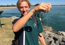 Picking up the best tips