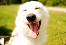 Cashing in on retirement