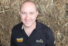 Popular produce for pets