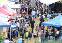 Fusion is a festival of fun