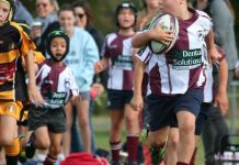 Great results for Fins