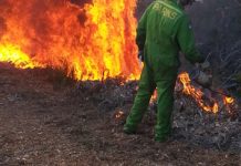 Planned burns for park’s link