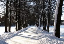 Snow expected on icy blast