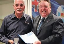 Dolphins see the liught