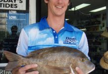 Noosa River looks pristine after the rain