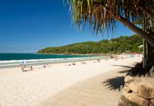 Tourism numbers surge