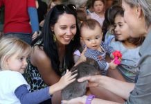 Close encounter with wildlife