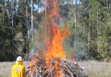 Hazard reduction burns after rains