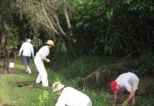 Geared up for the green