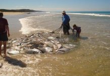 Tussle over netting hauls