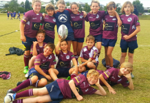 Dolphins show how it’s done