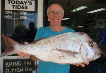 Noosa River is still the one