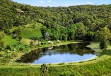 Taking aim at the sex trade