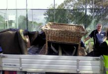 Let the river run free