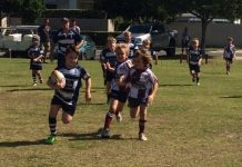 These little Fins are unstoppable!