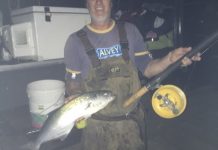 River fires up with trevally