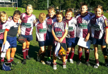 Fins deliver the goods