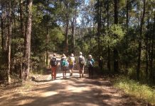 Walkers tread lightly