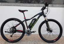 ‘No rush’ on Noosa transport needs