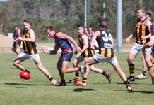 Two flags for Tigers