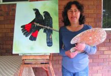 Art’s wild at heart