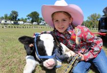 Noosa’s best on show