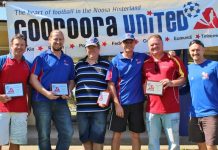 Amazing year for Wombats