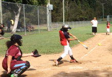 Batter up and play ball